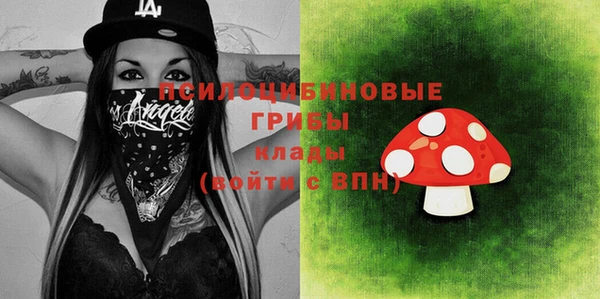 ГАЛЛЮЦИНОГЕННЫЕ ГРИБЫ Беломорск