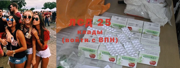 ГАЛЛЮЦИНОГЕННЫЕ ГРИБЫ Беломорск