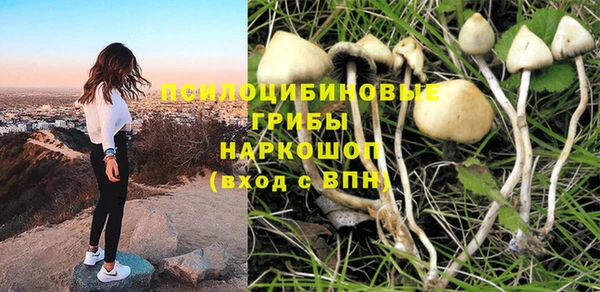 прущие грибы Усинск