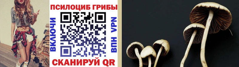 ОМГ ОМГ ссылки  Коркино  Галлюциногенные грибы мицелий 